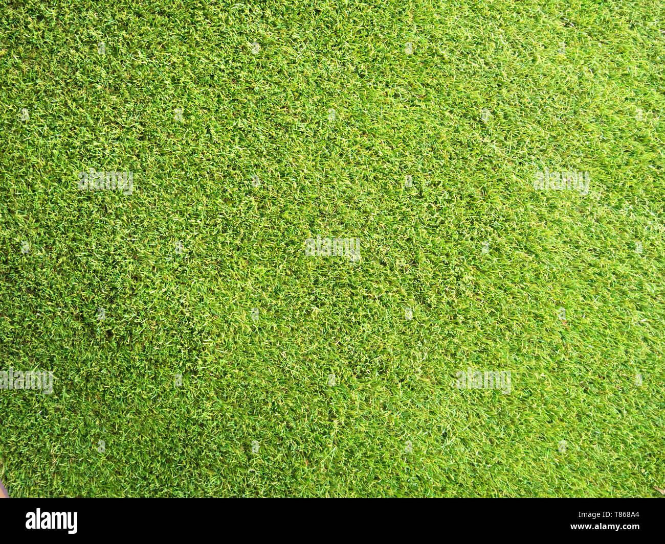 Erba verde layout di sfondo da un campo di calcio Foto Stock