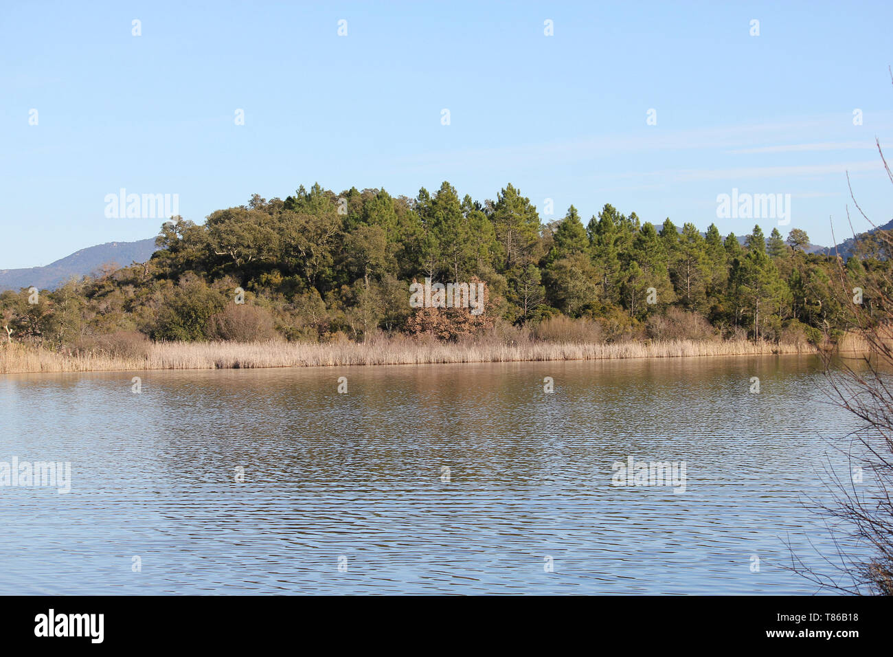 Il Lac des Escarcets a La Plaine des Maures, Provence Alpes Côte d'Azur. Foto Stock