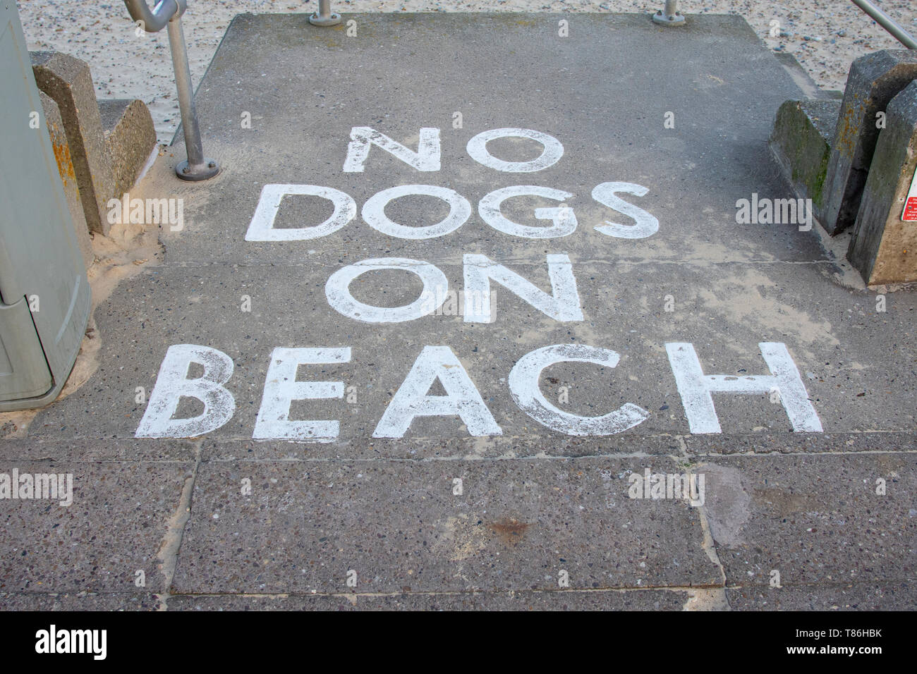No cani sulla spiaggia segno, Lowestoft Foto Stock