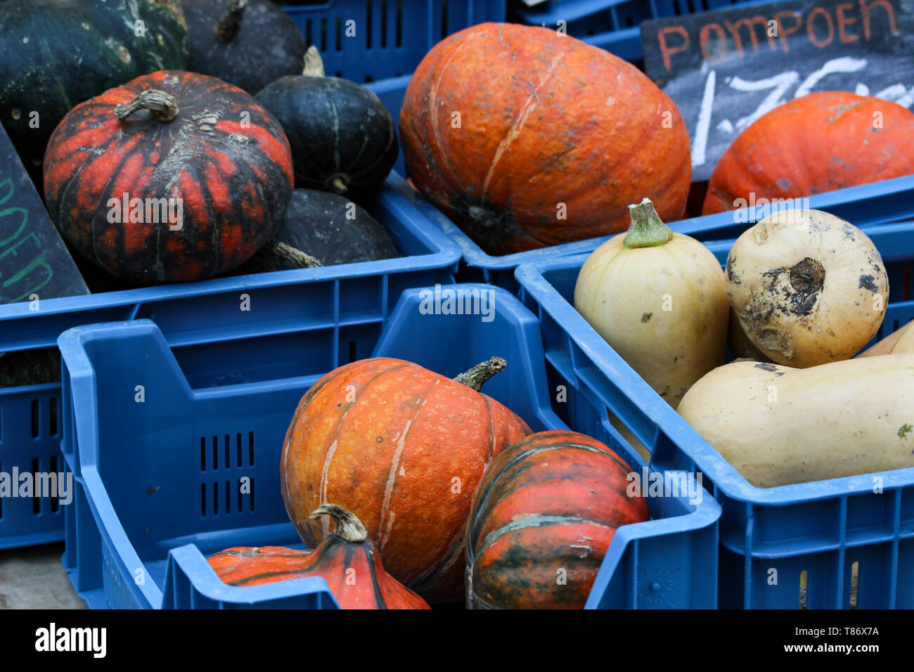 Le zucche Biologcial sul mercato degli agricoltori in Nieuwmarkt, Amsterdam Foto Stock