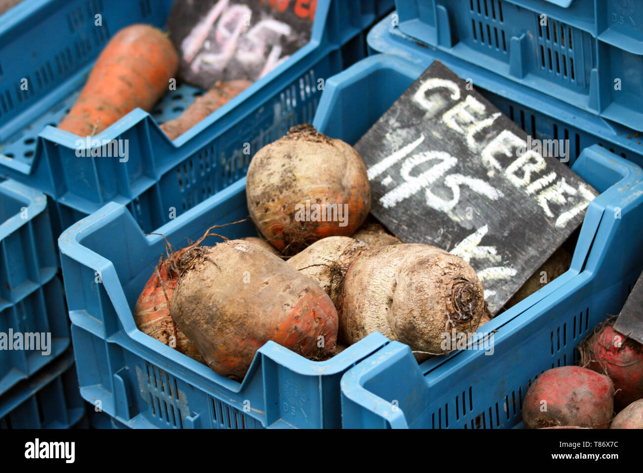 Golden barbabietole biologico sul mercato degli agricoltori in Amsterdam, Paesi Bassi Foto Stock