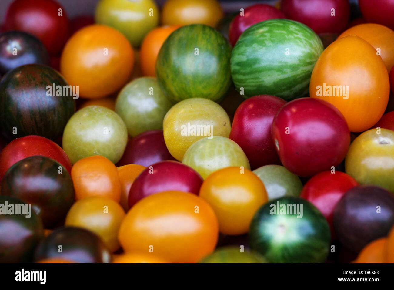 Colorate pomodori ciliegia biologico sul mercato degli agricoltori in Amsterdam, Paesi Bassi Foto Stock