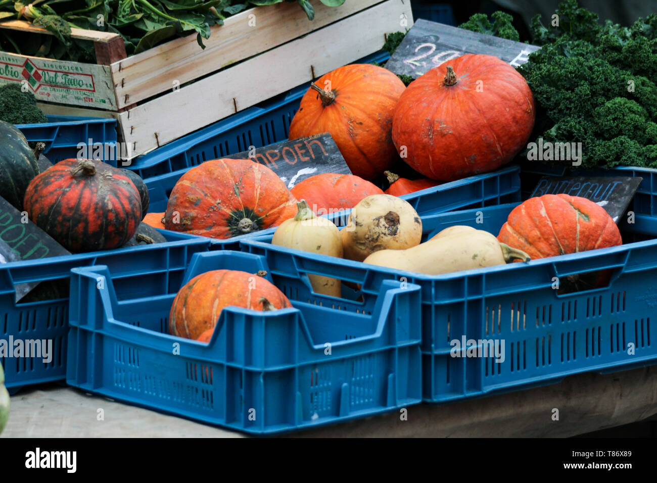 Zucche organico biologico sul mercato degli agricoltori in Nieuwmarkt, Amsterdam Foto Stock