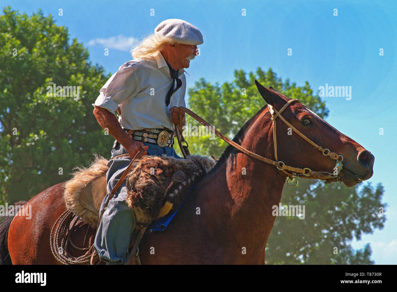 San Antonio de Areco/ Argentina: Goucho in abito tradizionale al molto popolare tradizionale Fiesta de la Tradicion Foto Stock