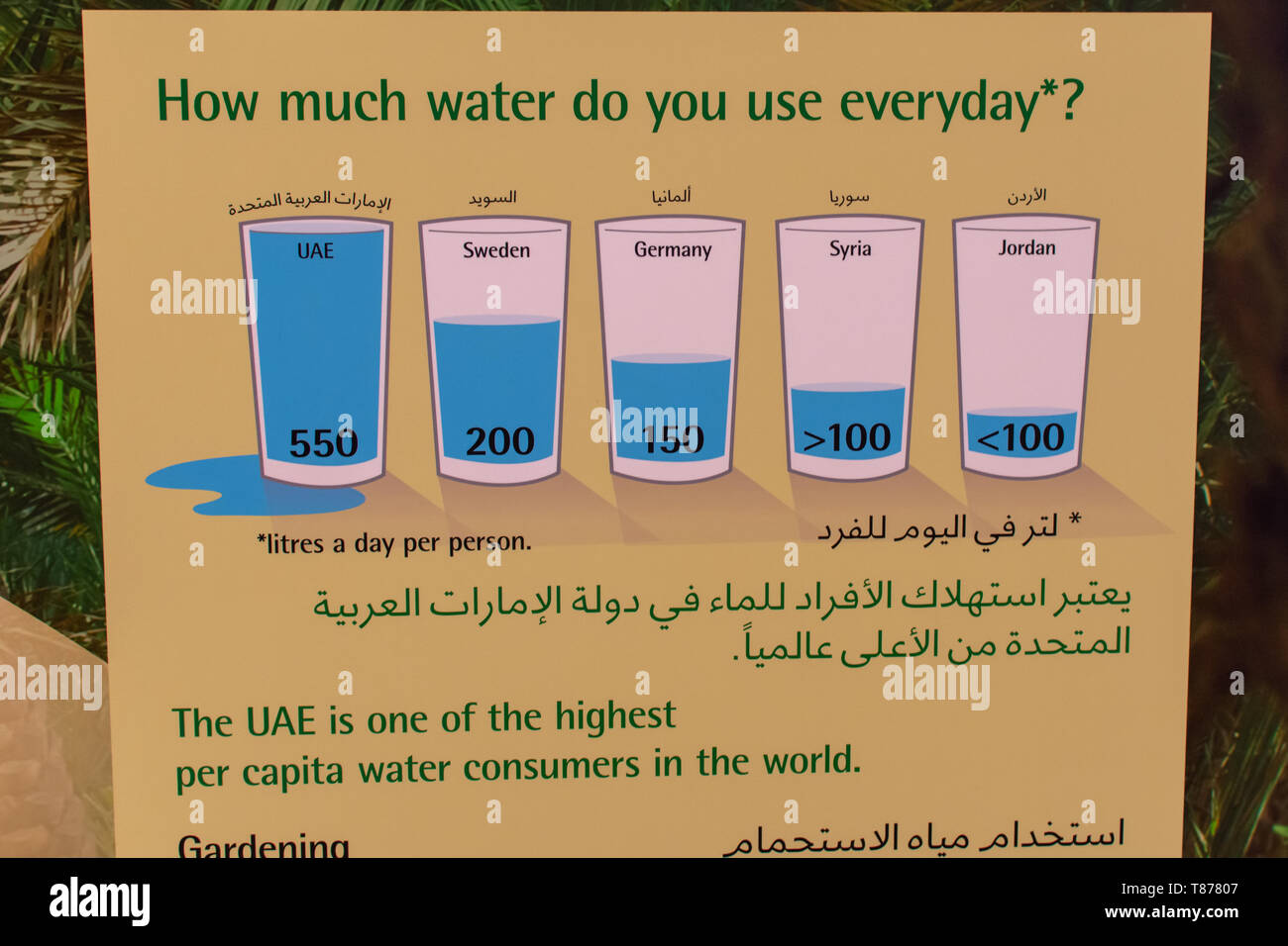 'Al Ain, Abu Dhabi/Emirati Arabi Uniti - 4/3/2019 - litri al giorno l'uso di acqua o segno di consumo negli EMIRATI ARABI UNITI in inglese e arabo per l'istruzione." Foto Stock