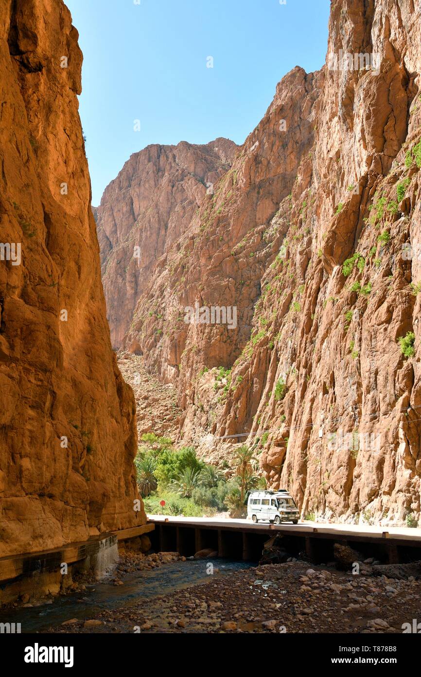 Il Marocco, Sous-Massa-Draa Regione, Alto Atlante, Todra (Todgha) Valley, Todra (Todgha) Gorge Foto Stock