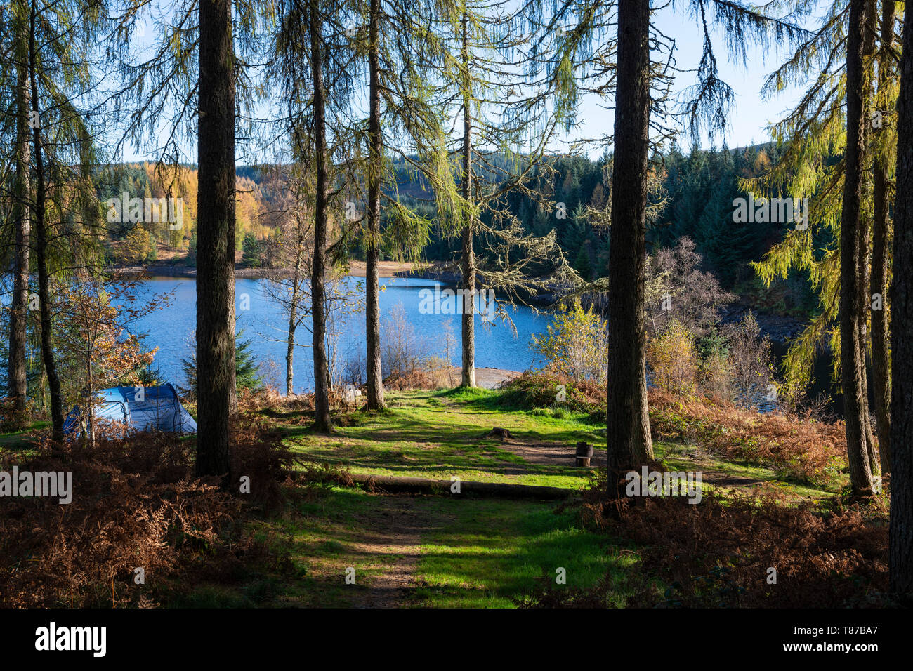 Campeggio selvaggio sulle rive di Loch Drunkie sul Achray Forest Drive nel Trossachs, Scotland, Regno Unito Foto Stock