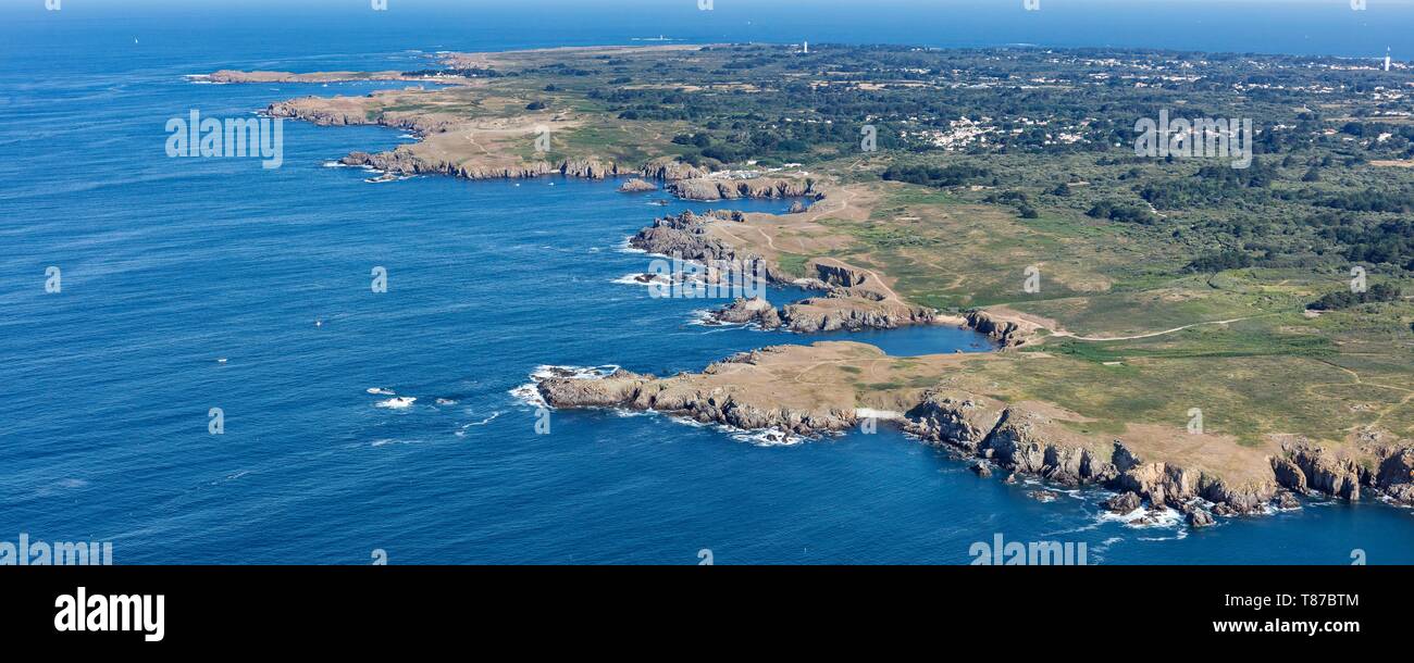 Francia, Vendee, Yeu island, la Pointe de la quota e la costa selvaggia (vista aerea) Foto Stock