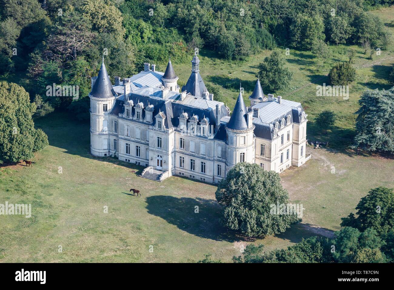 Francia, Indre, Mezieres en Brenne, Beauregard CASTELLO (vista aerea) Foto Stock
