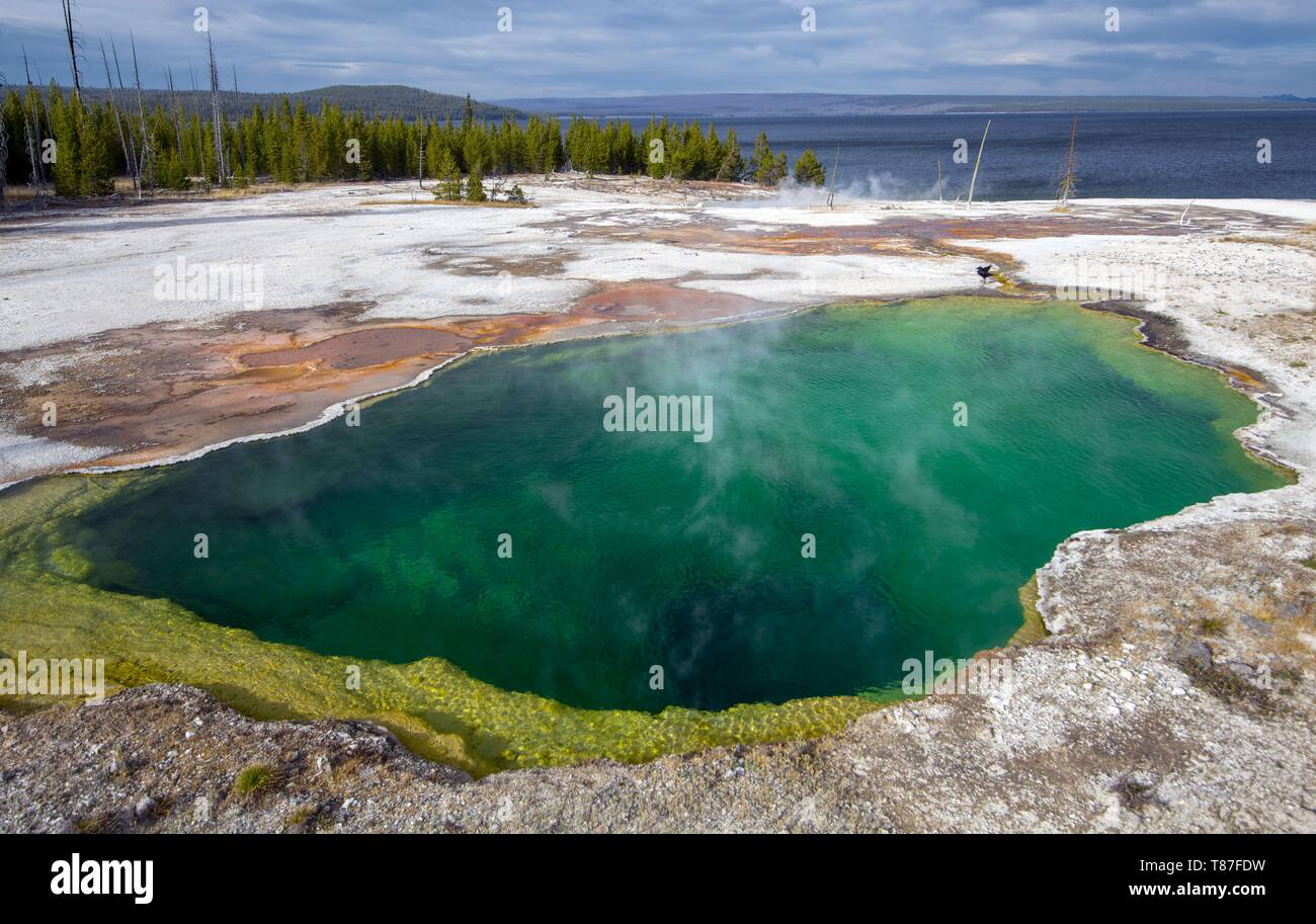 Stati Uniti, Wyoming Yellowstone National Park, West Thumb Geyser Basin Foto Stock