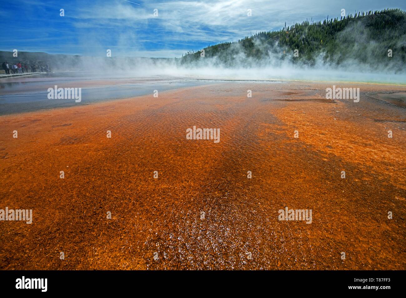 Stati Uniti, Wyoming, il Parco Nazionale di Yellowstone, Grand Prismatic Spring Foto Stock