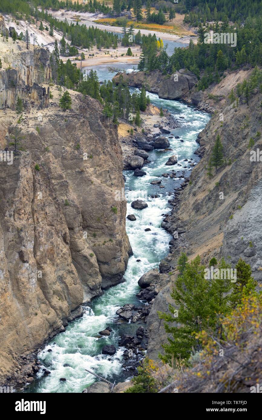 Stati Uniti, Wyoming, il Parco Nazionale di Yellowstone, Yellowstone River Canyon Foto Stock