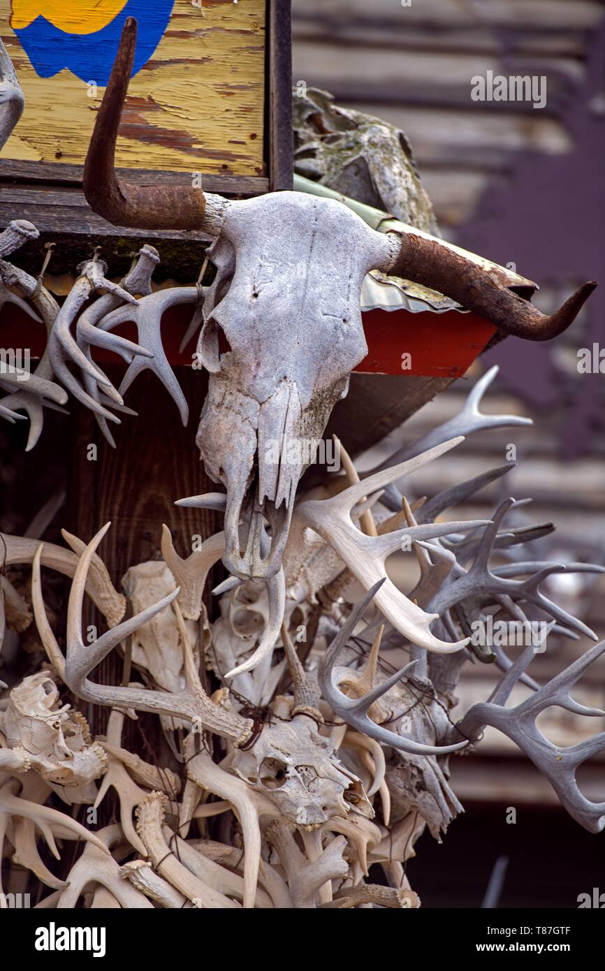 Stati Uniti, South Dakota, segni nella città di Hulett Foto Stock