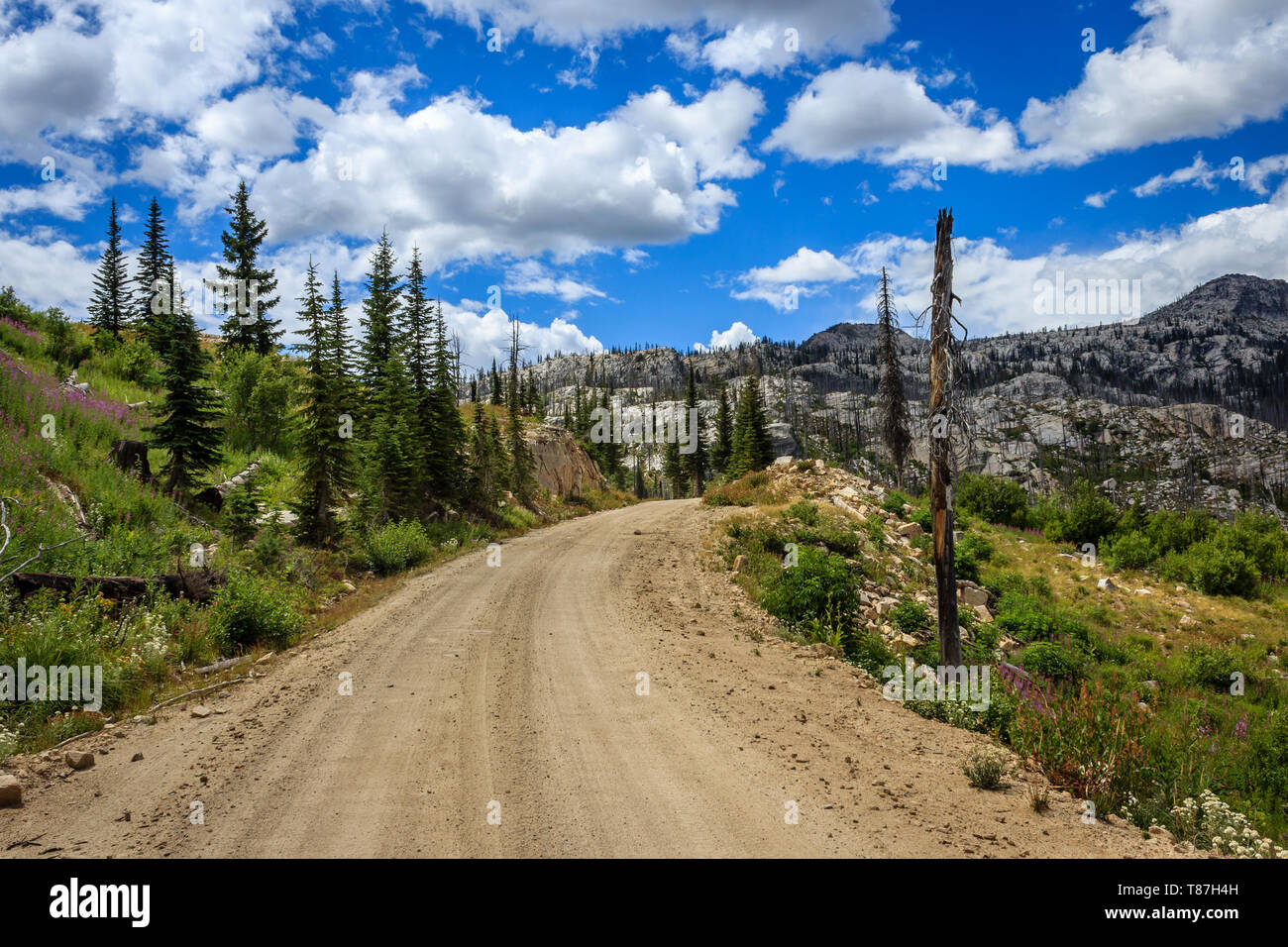 Guardando a Nord lungo leccare Creek Road, Idaho, Stati Uniti d'America Foto Stock