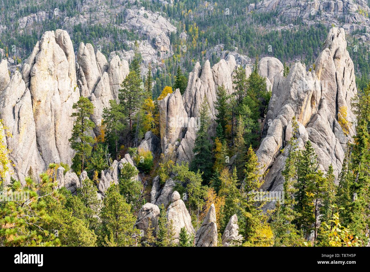 Stati Uniti, South Dakota, Custer State Park, gli aghi Foto Stock
