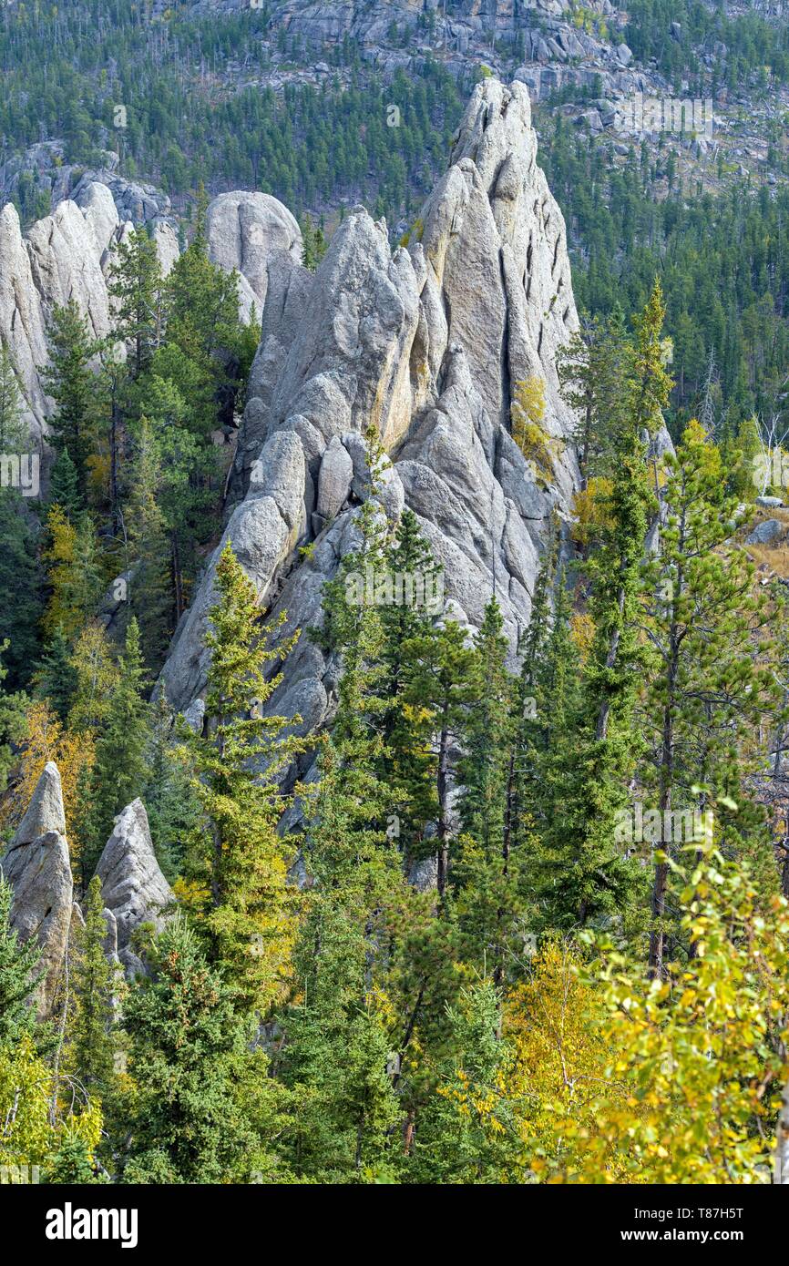 Stati Uniti, South Dakota, Custer State Park, gli aghi Foto Stock