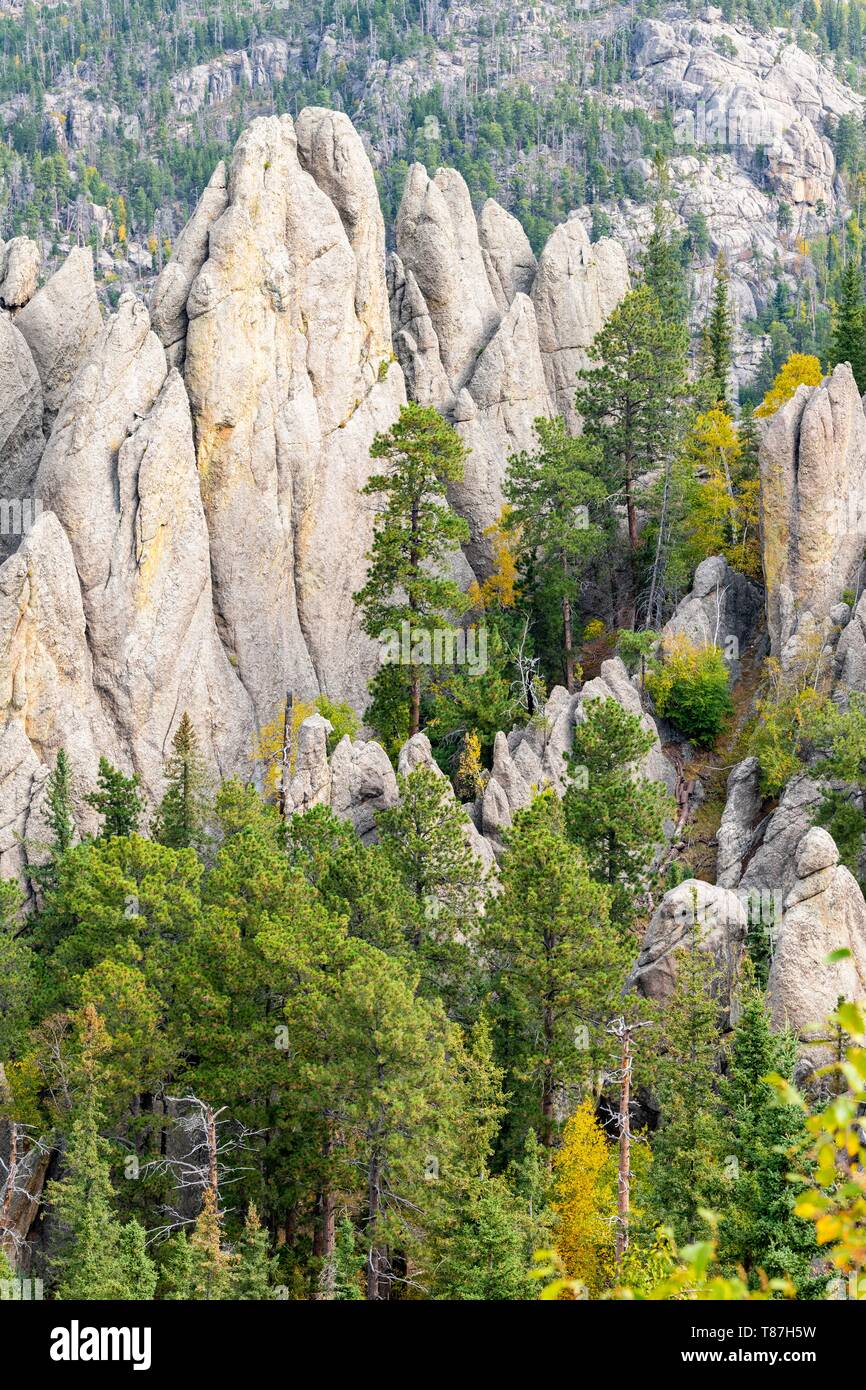 Stati Uniti, South Dakota, Custer State Park, gli aghi Foto Stock