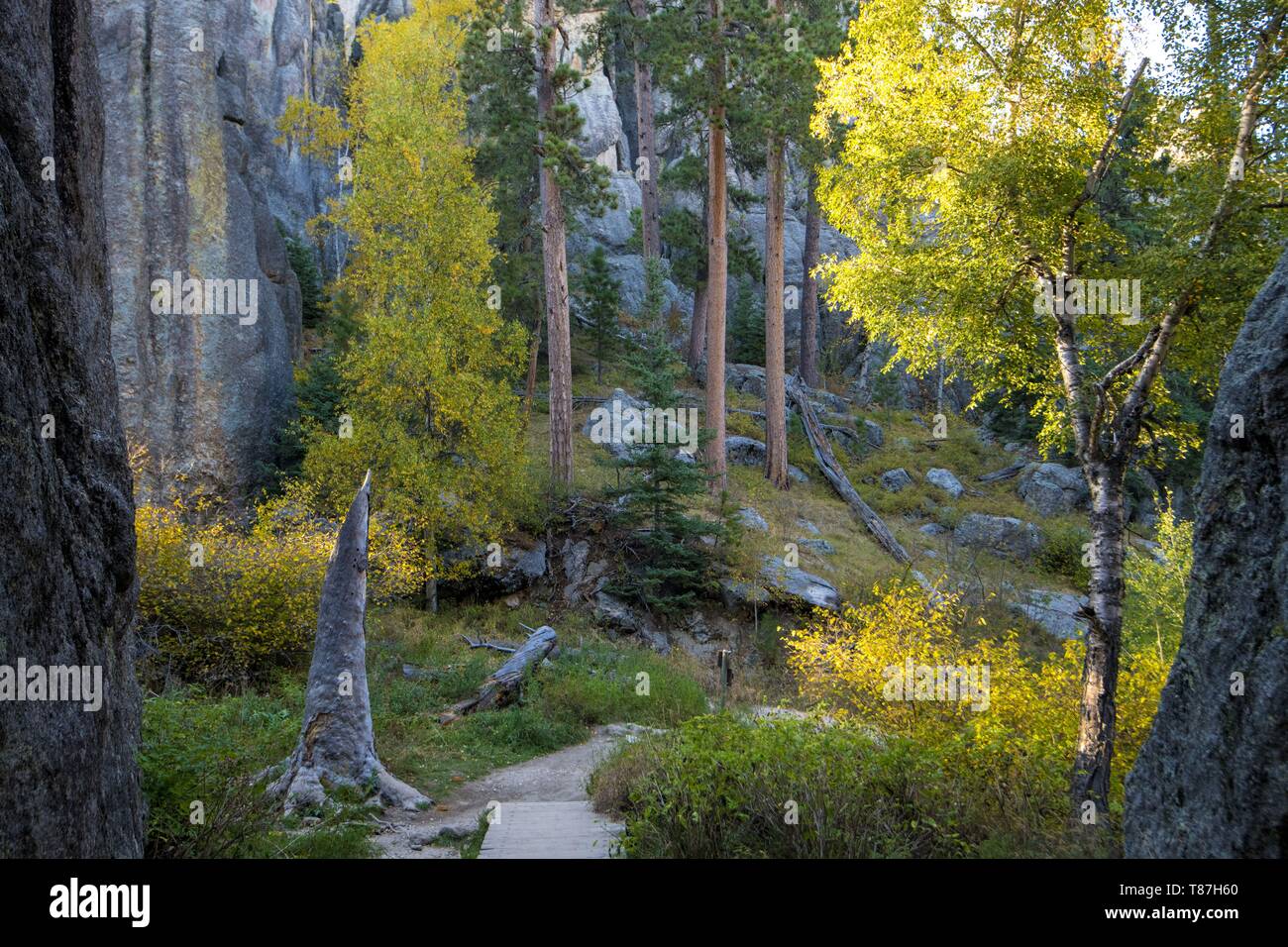Stati Uniti, South Dakota, Custer State Park, Sylvan Lake Foto Stock
