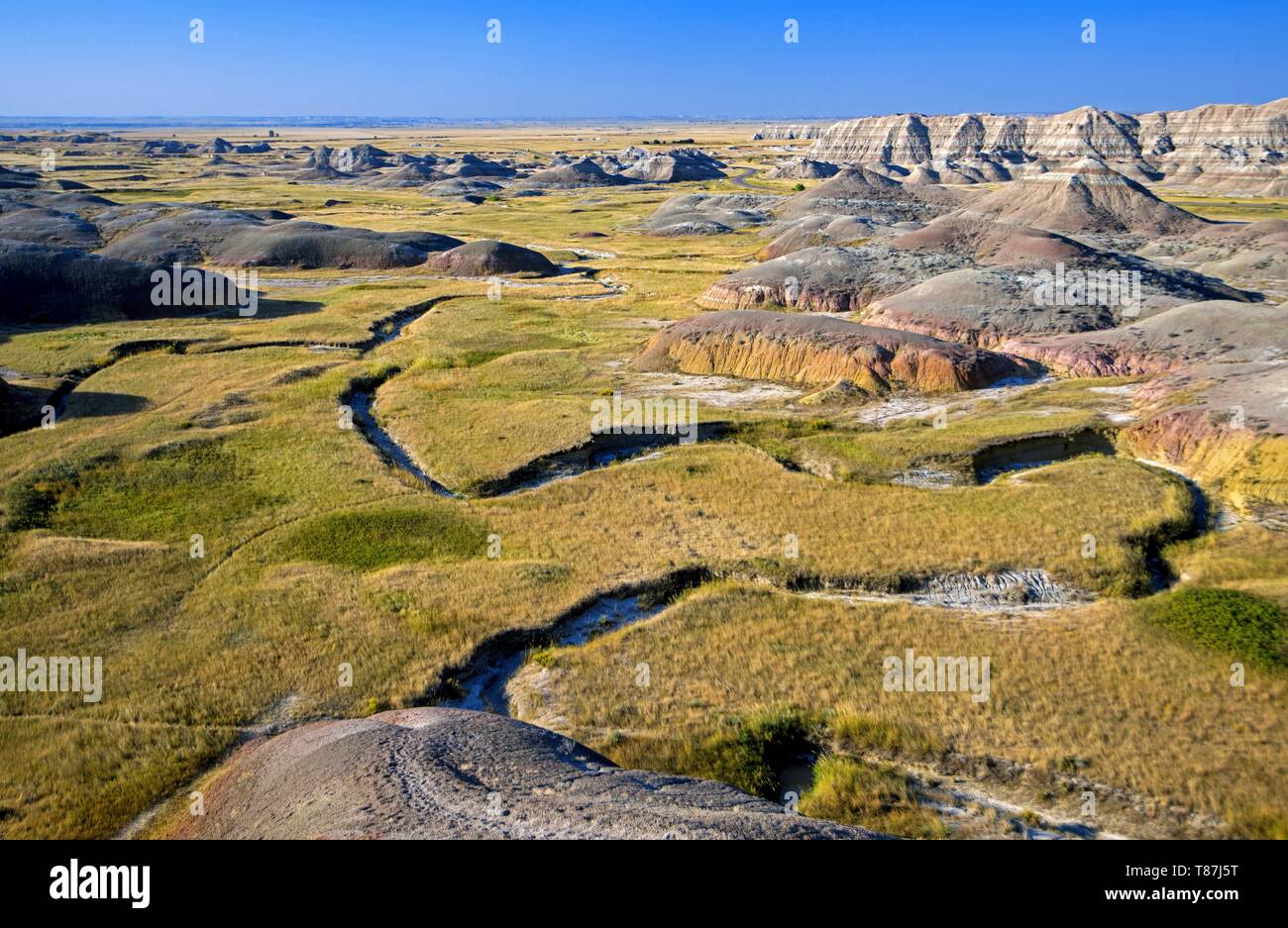 Stati Uniti, South Dakota, Parco nazionale Badlands Foto Stock