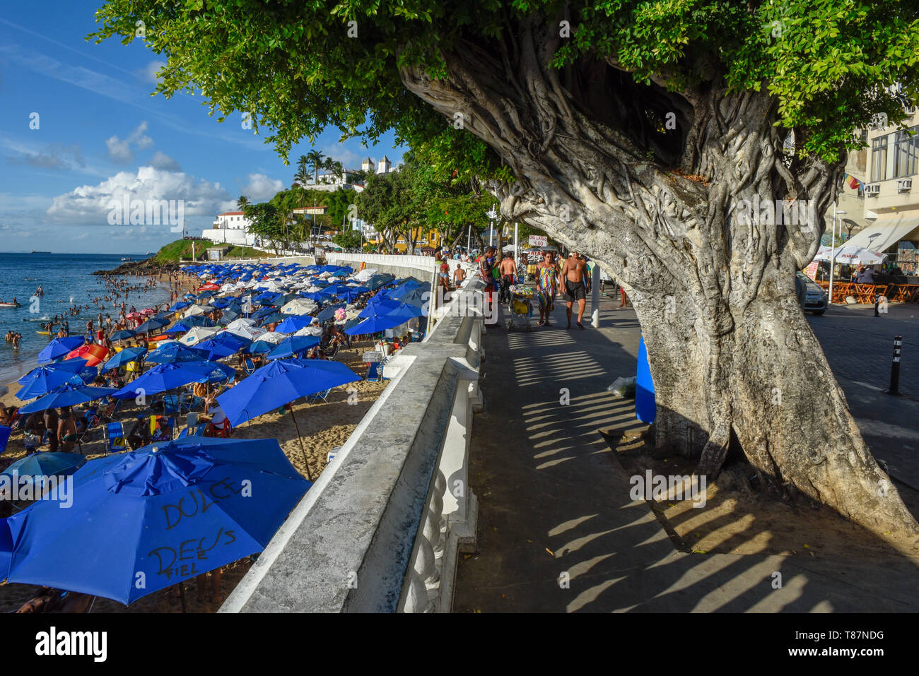 Salvador, Brasile - 1 febbraio 2019: Porto da Barra Beach a Salvador Bahia in Brasile Foto Stock