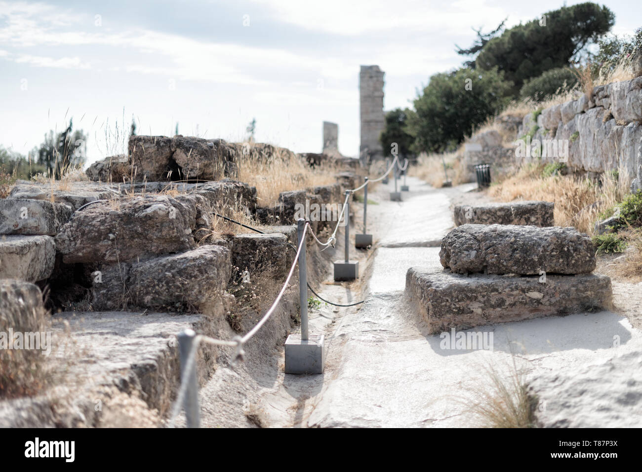 Acropoli Partenone Atene Grecia // ATENE, Grecia - l'antica Acropoli sorge in cima alla sua collina rocciosa, che domina lo skyline di Atene, Grecia. Il Partenone, con le sue colonne e frontoni iconici, è il fulcro di questo sito patrimonio dell'umanità dell'UNESCO. Circondata da altre strutture classiche, tra cui l'Eretteo e il Tempio di Atena Nike, questa cittadella del V secolo a.C. incarna la gloria dell'antica civiltà e dell'architettura greca. Foto Stock