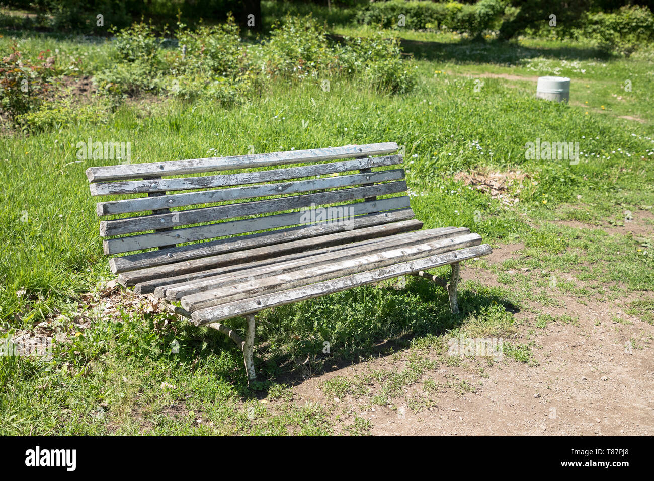 Il vecchio banco in parco all'estate. Vintage banco rétro Foto Stock