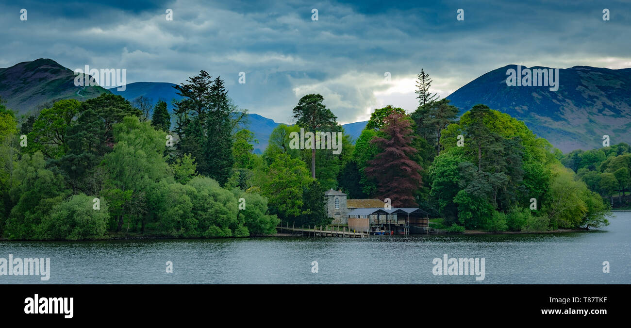 Isola su Derwentwater, Lake District Foto Stock