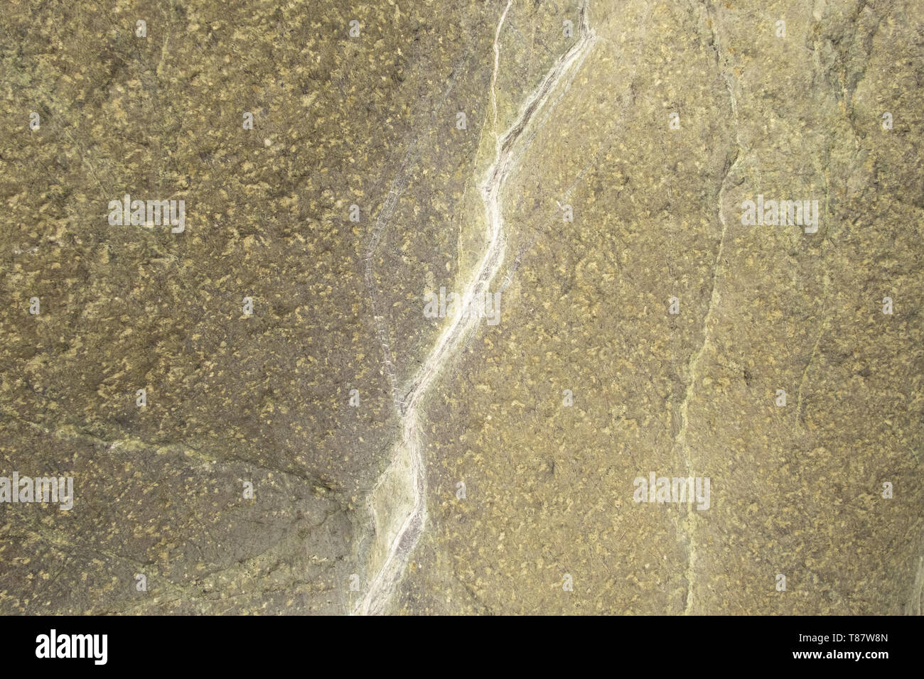 Primo piano della superficie rocciosa con venature bianche Foto Stock