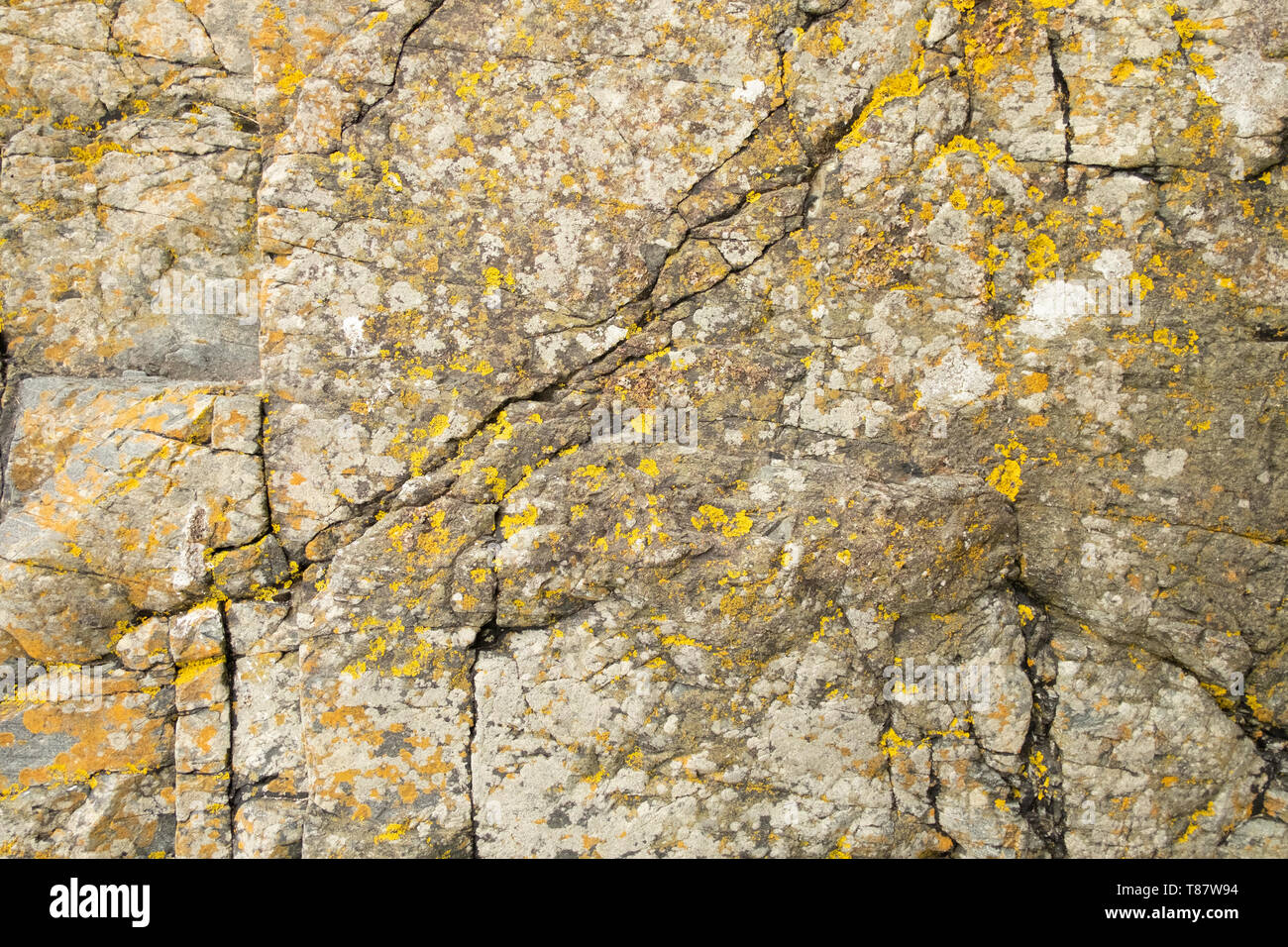 Primo piano della superficie rocciosa con crepe e licheni Foto Stock