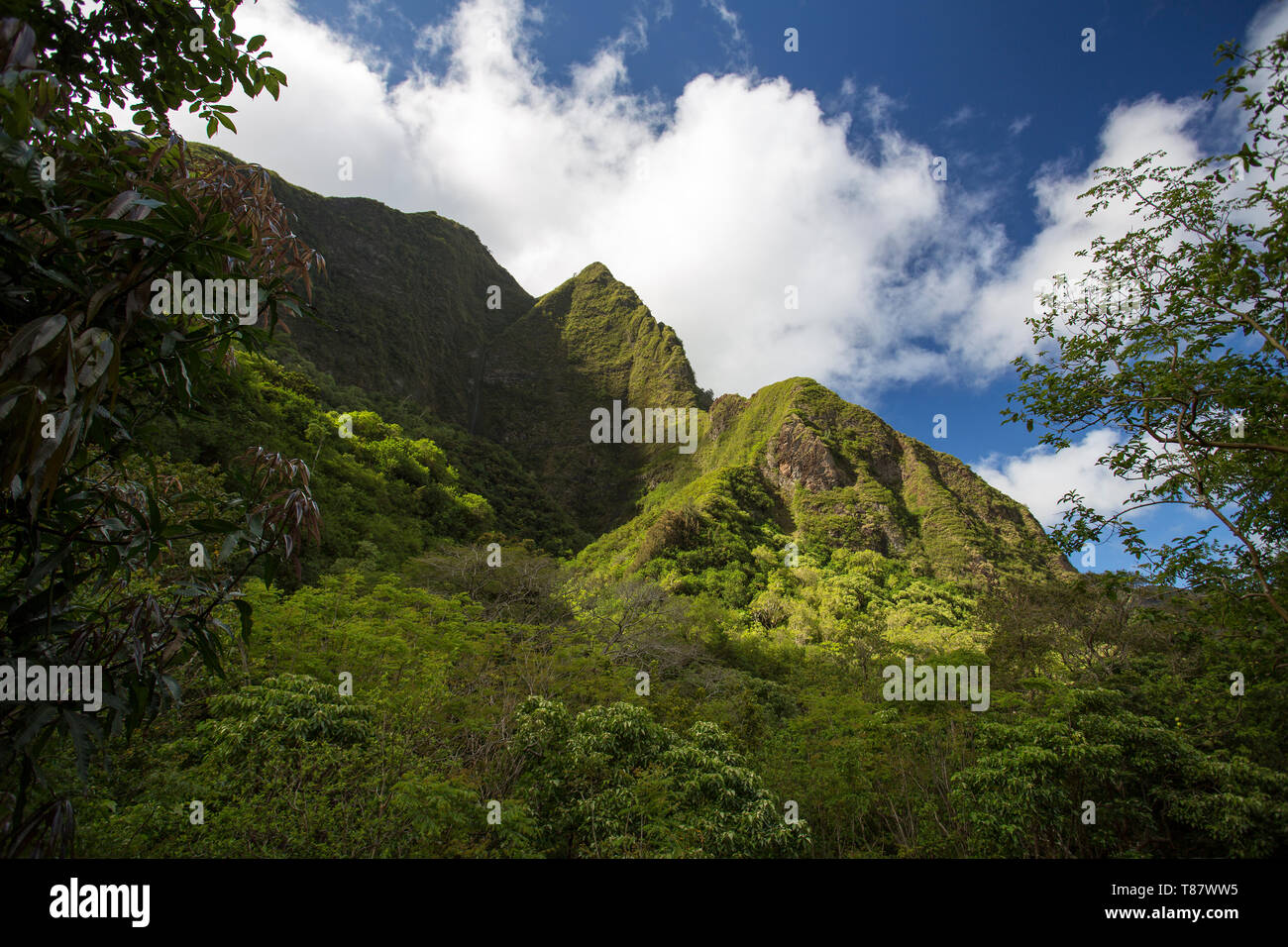 Iso Valley State Park, Maui, Hawaii Foto Stock