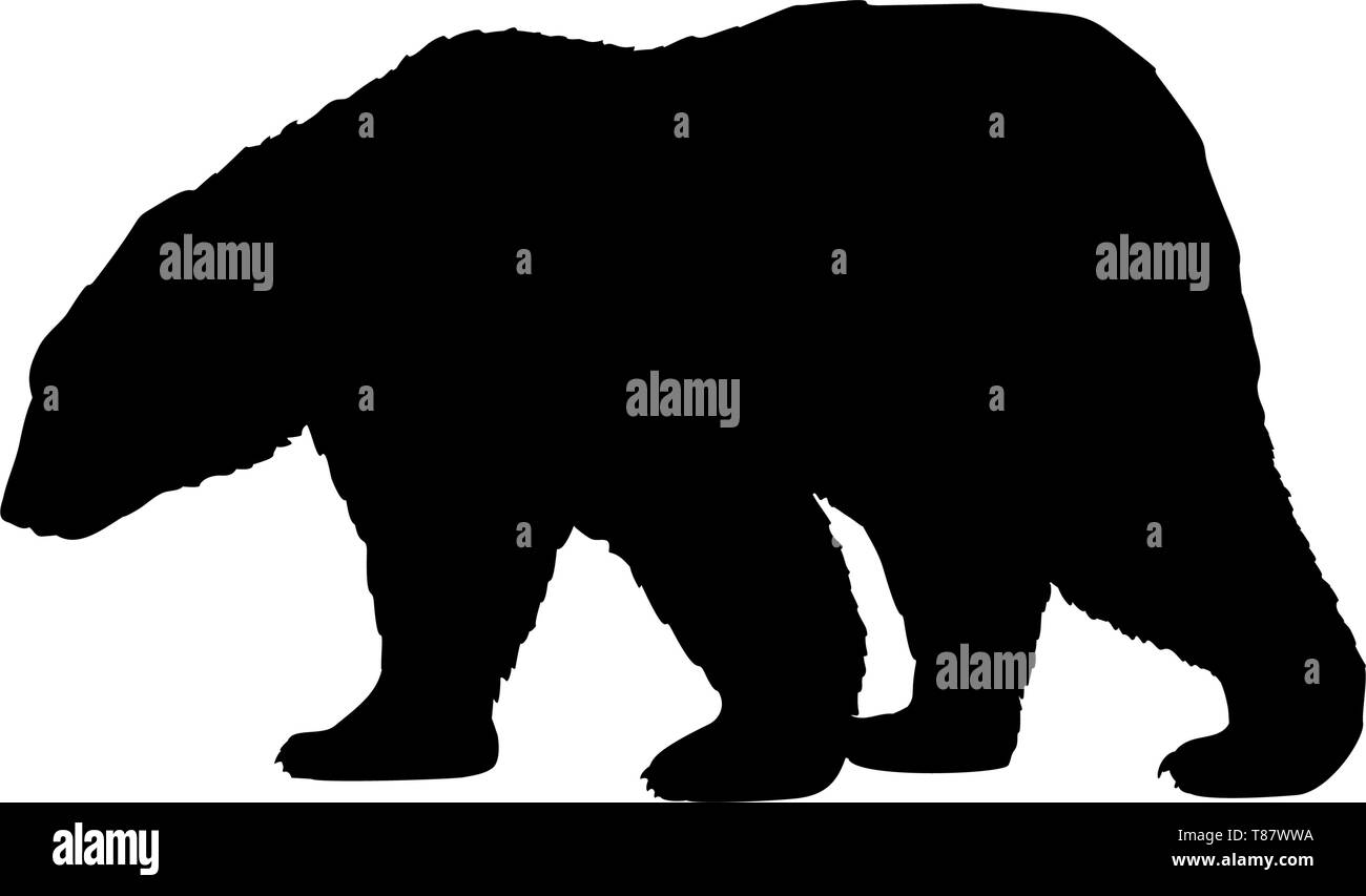 Orso bruno nero selvaggio animale silhouette Illustrazione Vettoriale