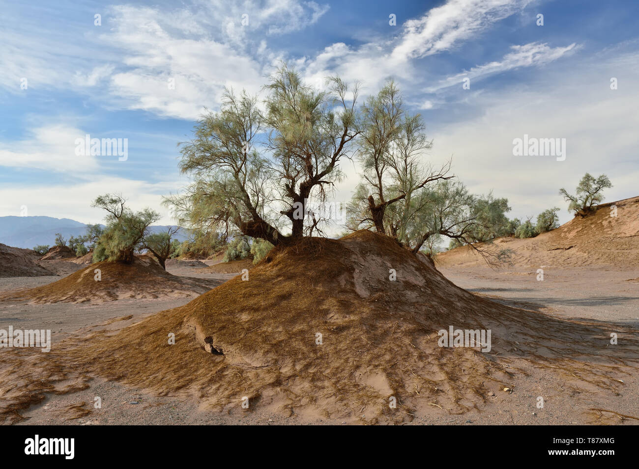 La Lut deserto - Dasht-e-Lut il più caldo e arido luoghi sul pianeta, individuare nei pressi di Kerman, Iran. Foto Stock