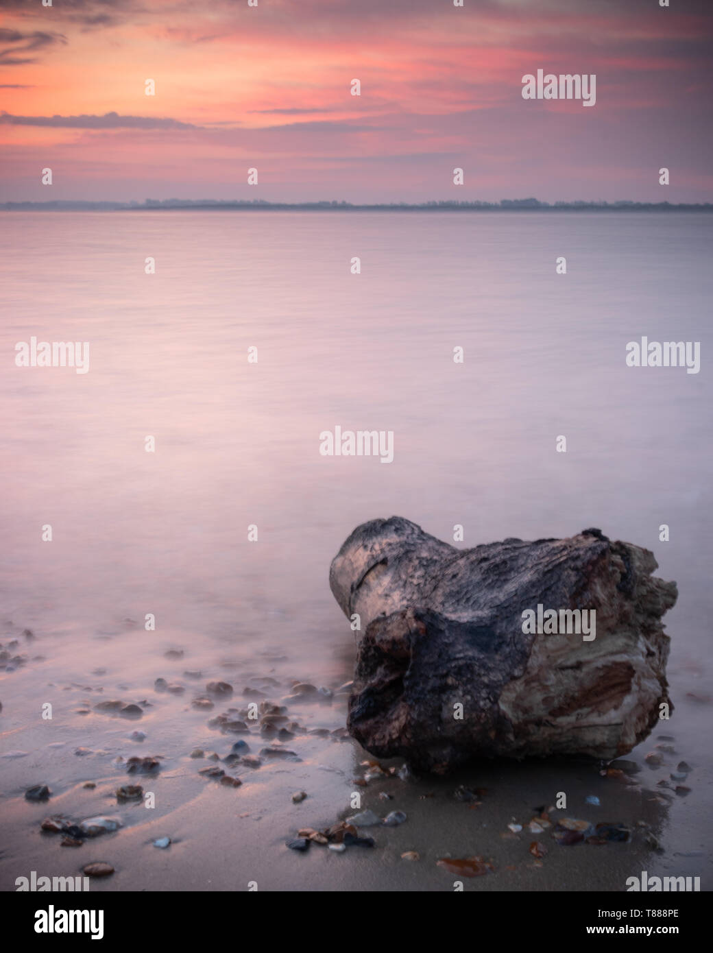 Un log o driftwood sulla spiaggia durante una rosa di sunrise e mare tranquillo Foto Stock