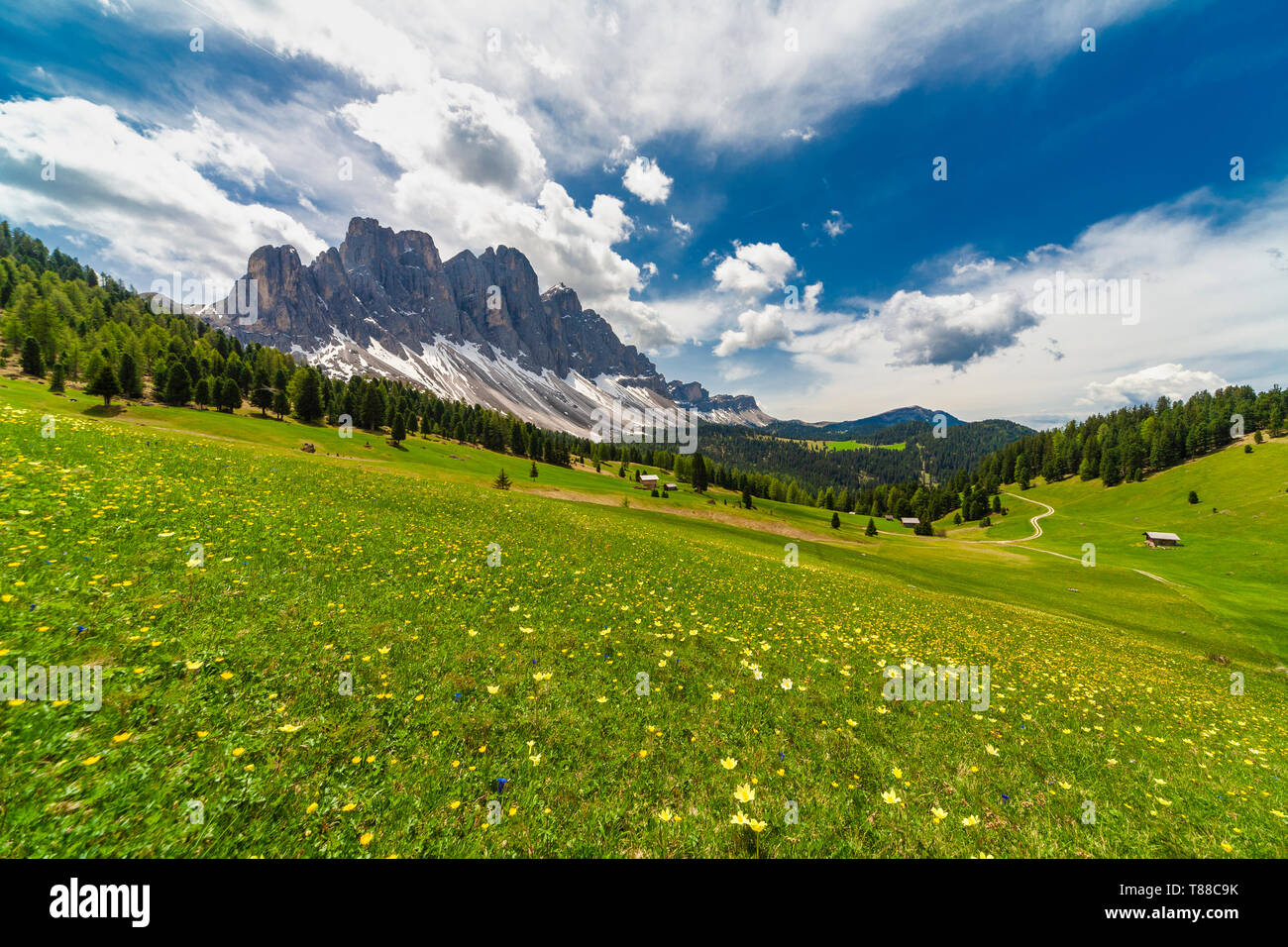 Le Odle visto da verdi prati di Malga Caseril (Kaserillalm), Dolomiti, Funes, Provincia Autonoma di Bolzano Alto Adige - Italia Foto Stock