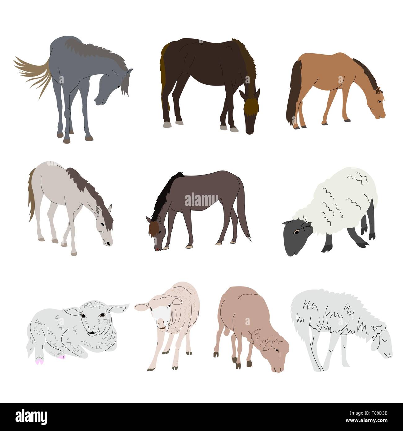 Set per disegno di cavallo e pecore isolati su sfondo bianco. illustrazione vettoriale. Illustrazione Vettoriale