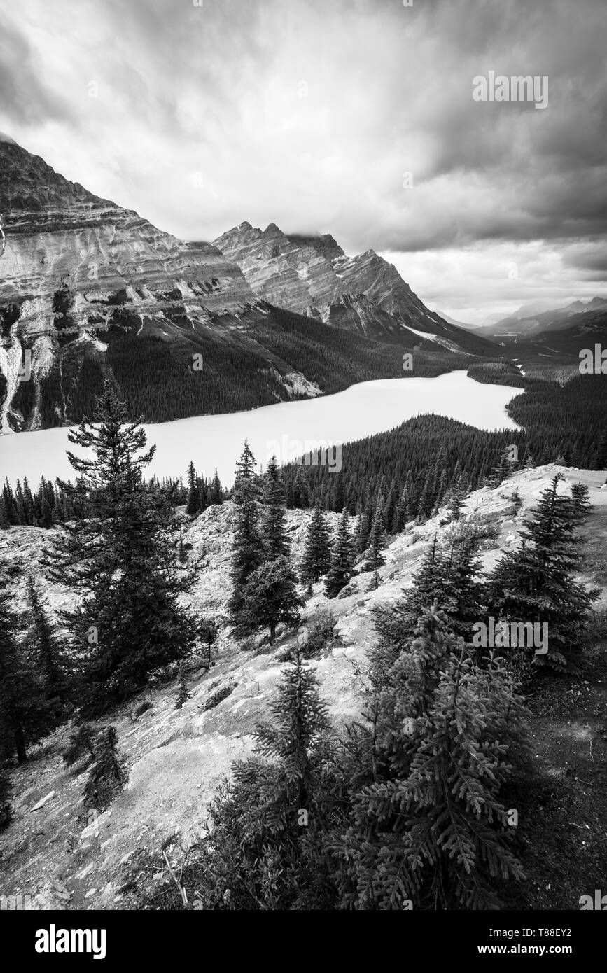 In alto di gamma della montagna, sopra le code turistiche & percorsi sono i luoghi migliori per ammirare le splendide wolf a forma di Lago Peyto e guardare la tempesta e la pioggia nuvole. Foto Stock