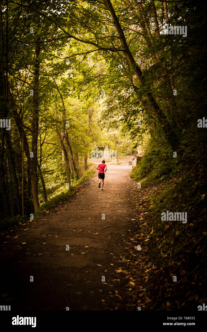 Un lone runner lotte fino la foglia foderato percorso autunnale sulla sponda occidentale del fiume usura sul suo cammino verso il ponte e la Cattedrale. Foto Stock