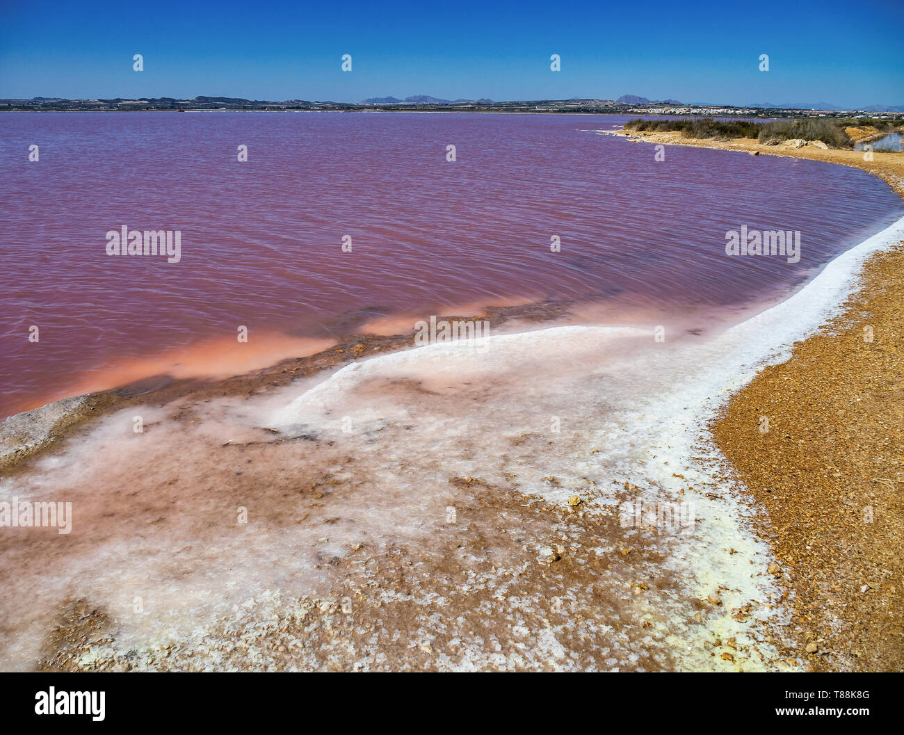 Laguna Salada in Torrevieja, regione di Alicante, Spagna. Rosa lago salato. Salinas parco naturale. Foto Stock