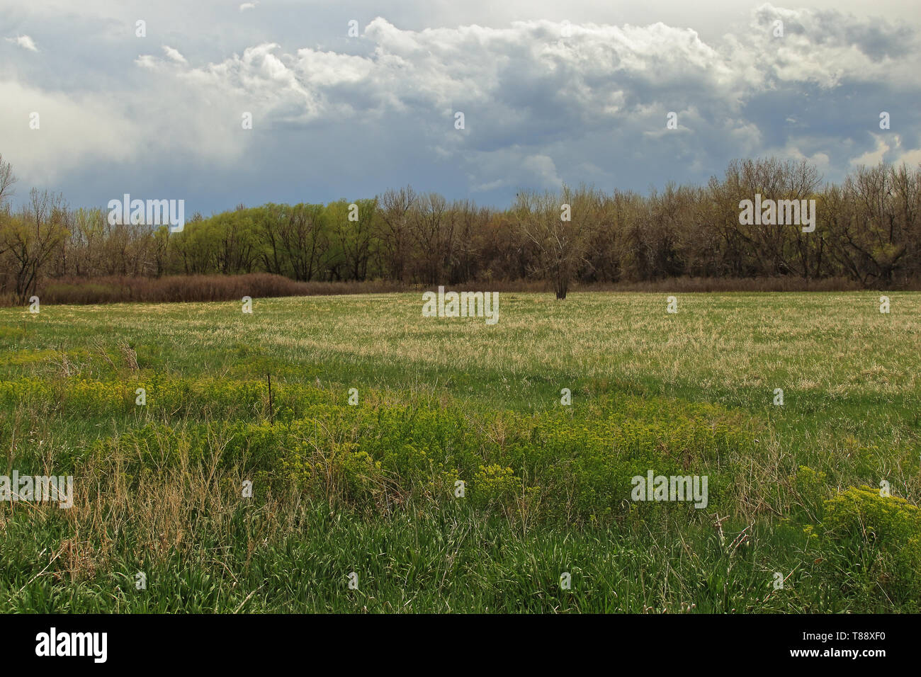 Bel paesaggio di Cherry Creek Park e il serbatoio a una molla Nuvoloso Giorno, Denver Colorado Foto Stock