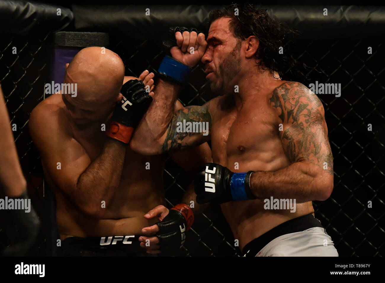 UFC 237: NAMAJUNAS vs. ANDRADE - Fighters BJPenn (red glove) e argilla Guida (blu guanto) durante UFC 237 scheda preliminare di lotta a Jeunesse Arena, Rio de Janeiro . Foto: Thiago Ribeiro / AGIF Foto Stock