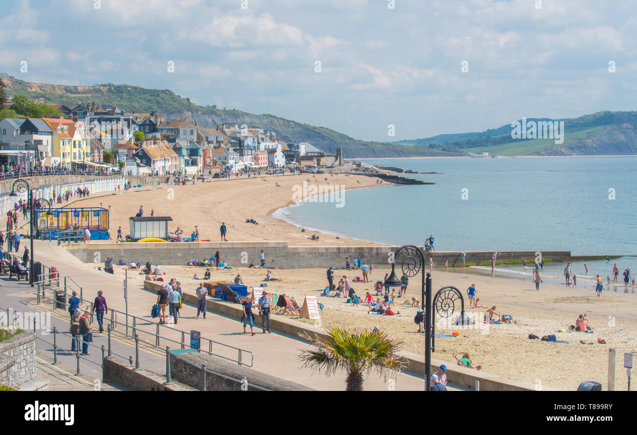 Lyme Regis, Dorset, Regno Unito. Il 12 maggio 2019. Regno Unito: Meteo visitatori e amanti di spiaggia godetevi la pittoresca spiaggia presso la località balneare di Lyme Regis su una calda e soleggiata domenica. Le temperature sono dilagano con alti di 25 gradi celsius previsioni per la prossima settimana. Credito: Celia McMahon/Alamy Live News. Foto Stock
