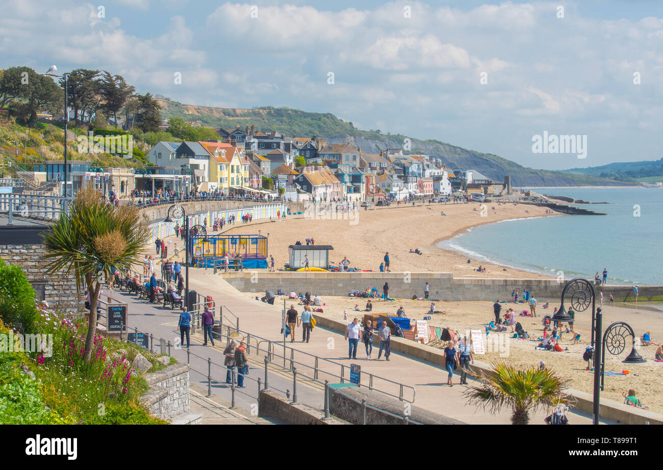 Lyme Regis, Dorset, Regno Unito. Il 12 maggio 2019. Regno Unito: Meteo visitatori e amanti di spiaggia godetevi la pittoresca spiaggia presso la località balneare di Lyme Regis su una calda e soleggiata domenica. Le temperature sono dilagano con alti di 25 gradi celsius previsioni per la prossima settimana. Credito: Celia McMahon/Alamy Live News. Foto Stock