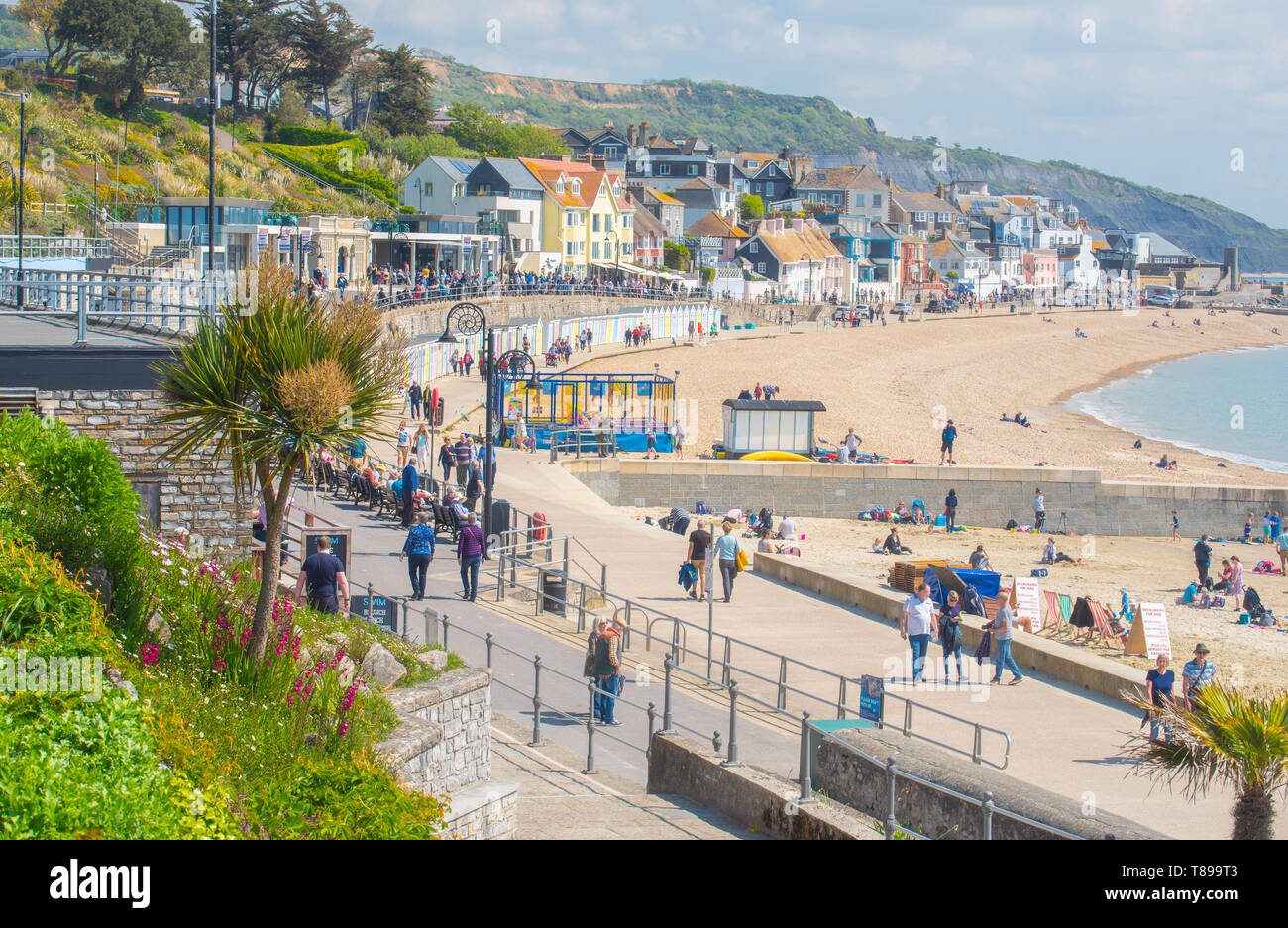 Lyme Regis, Dorset, Regno Unito. Il 12 maggio 2019. Regno Unito: Meteo visitatori e amanti di spiaggia godetevi la pittoresca spiaggia presso la località balneare di Lyme Regis su una calda e soleggiata domenica. Le temperature sono dilagano con alti di 25 gradi celsius previsioni per la prossima settimana. Credito: Celia McMahon/Alamy Live News. Foto Stock