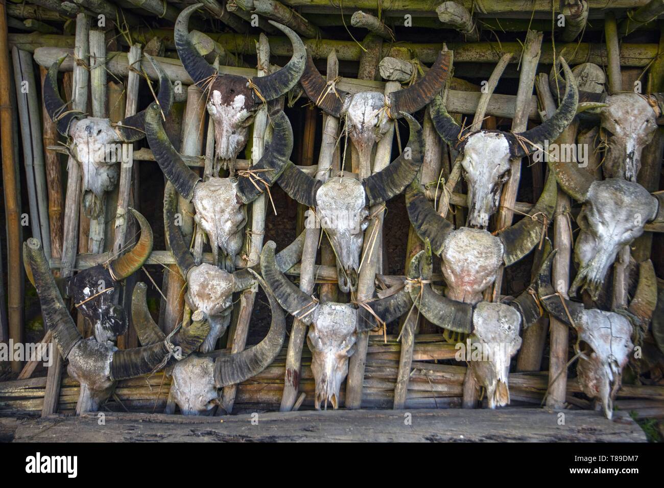 India, Arunachal Pradesh, Khetti Foto Stock