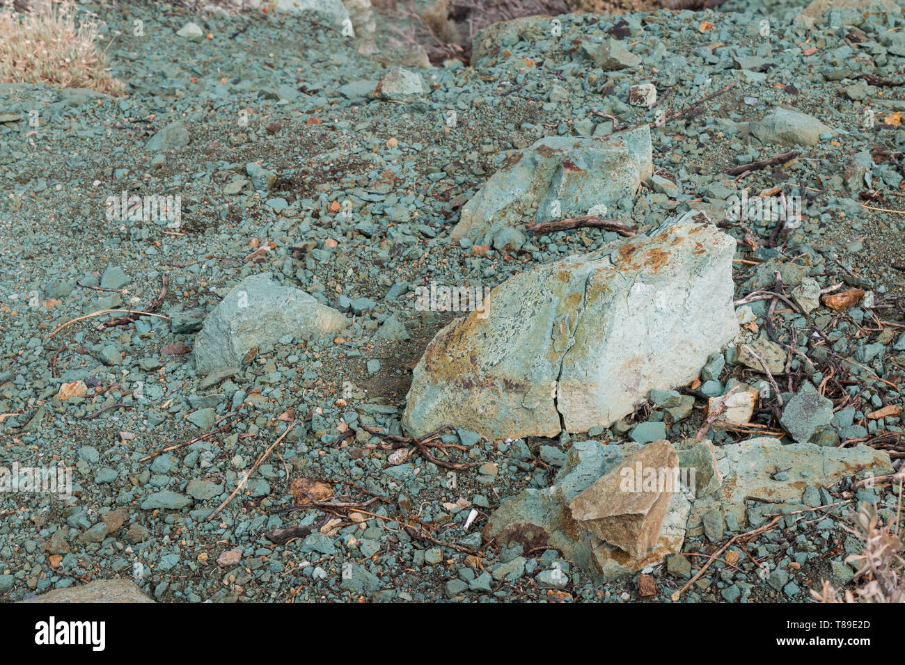 Sharp pietre di lava e rocce in un colore verde che copre il terreno nel Parco Nazionale del Teide. Tenerife, Isole Canarie, Spagna. Foto Stock