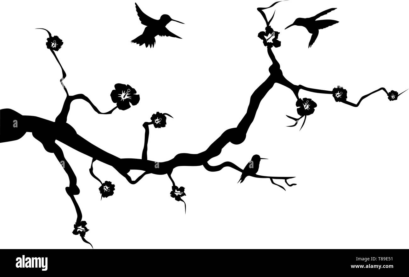 Hummingbird animale decalcomania parete parete parete tatuaggio adesivo branch Illustrazione Vettoriale