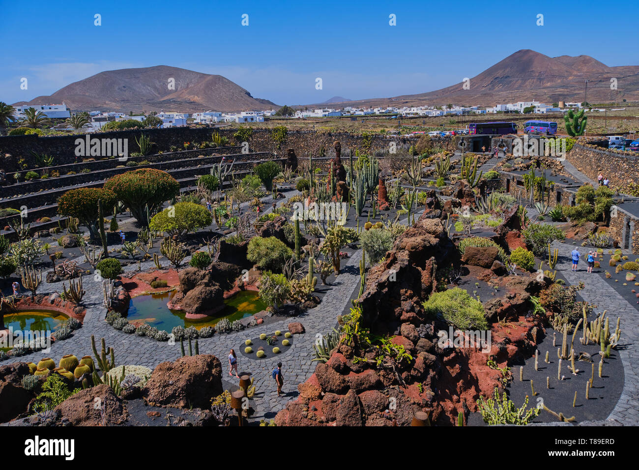 Guatiza, Lanzarote, Spagna Aprile 28, 2019: vista sulla disposizione di cactus al Giardino dei Cactus - Jardin de Cactus- Situato nel villaggio di Guatiza su th Foto Stock