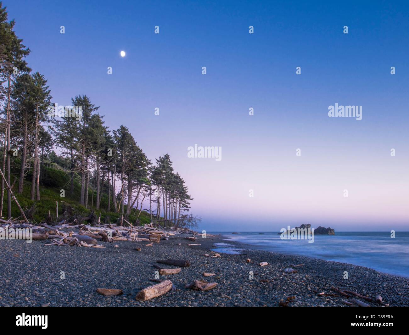 Stati Uniti, Washington, il Parco Nazionale di Olympic, coste del Pacifico Foto Stock