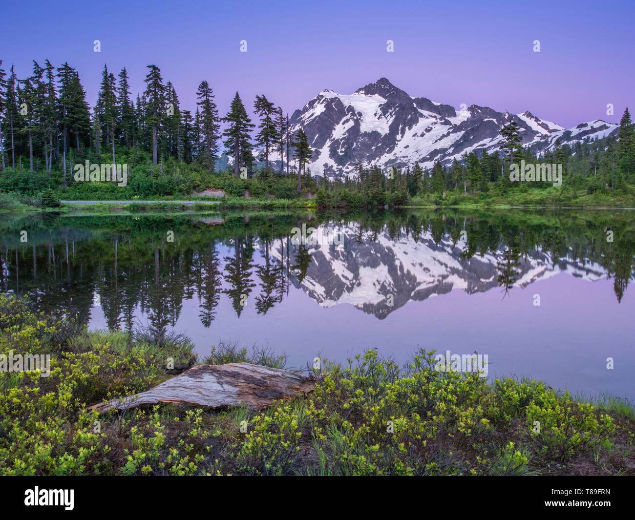 Stati Uniti, Washington, North Cascades National Park, il Monte Shuksan in Miror Lago Foto Stock