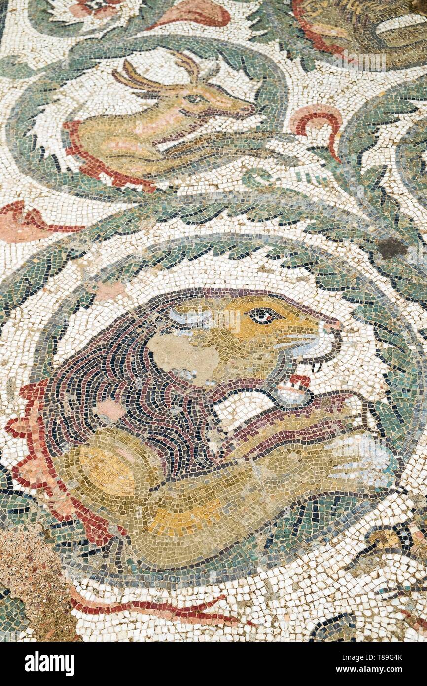 Sicilia Italia, di Piazza Armerina e Villa Romana del Casale, sito Patrimonio Mondiale dell'UNESCO, esempio supremo di una lussuosa villa romana pregevoli per la ricchezza e la qualità dei mosaici che decorano ogni stanza Foto Stock